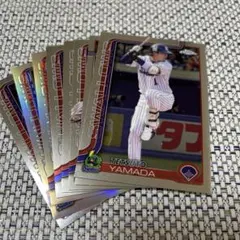 東京ヤクルトスワローズ　選手カードセット