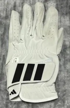 Item thumbnail for item 3c115ac6-dca2-4a99-b836-d71d8ff51380