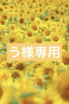 う様 リクエスト 17枚 まとめ商品のサムネイル