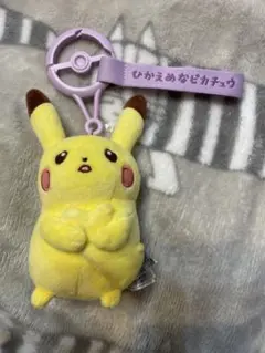 ジャカルタ バティックピカチュウ ぬいぐるみ 小 - メルカリ