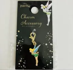 ディズニー　ティンカーベル　ピーターパン　チャームアクセサリー　チャーム　新品のサムネイル