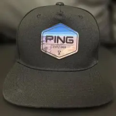 ping メンズウェア