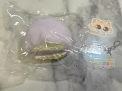 Qmii studio 大福