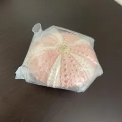 ウニ殻　マグネットコレクション　ホンナガウニ