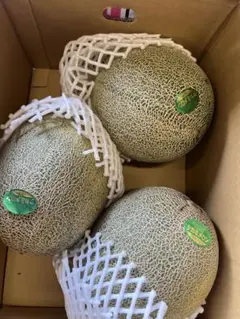 1箱限定冷蔵便】夕張メロン個選品3玉 超特大1玉3kg前後※掲載は関東価格 