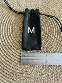 Item thumbnail for item a1ed8e6f-2a64-4e89-adaf-bd5e40a39585