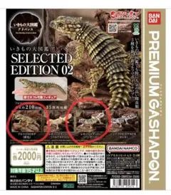 いきもの大図鑑アドバンス アルマジロトカゲ　レオパードゲッコー　2点セット