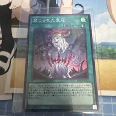 2026年最新】禁じられた聖冠の人気アイテム - メルカリ