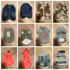 緊急お値下げ！秋冬 犬服6点セット サイズ:XS
