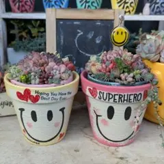 おーちゃん様 リクエスト 2点 まとめ商品