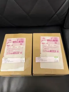 [新品未開封]ポケモンカードMegaドリームex (2boxセット)