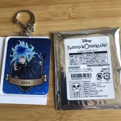 ツイステッドワンダーランド　ブラインドアクリルキーホルダー