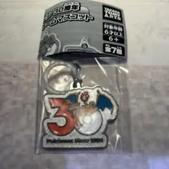 ポケモン 30周年 メタルチャームマスコット　リザードン