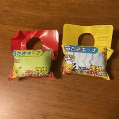 伊藤園麦茶キャンペーン ポケモン2024ペットボトルカバー2種
