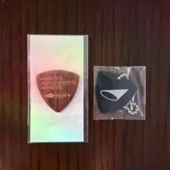 非売品SAKANACTION ギターピック