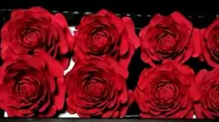 ひーちゃん様 リクエスト 2点 まとめ商品