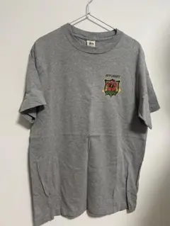 STUSSY 90's VINTAGE ハイビスカス Tシャツ