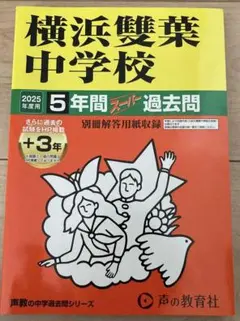 Item thumbnail for item a5ee49da-037a-4a47-9809-cdf5661be8c4