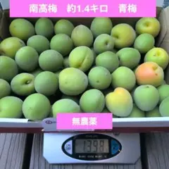 南高梅　1.4キロ　青梅のサムネイル