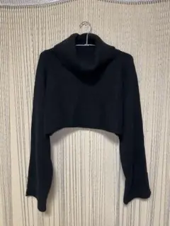 タートルネック クロップド丈 セーター ニット L