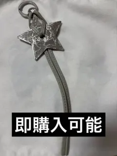 【非売品】DIOR ディオール スターチャームキーホルダー（クリスタル会員限定）
