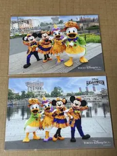 ディズニー　ハロウィン　ドナルド　デイジー　ミニー　ミッキー　写真