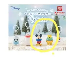 ディズニー　めじるしアクセサリー　winter