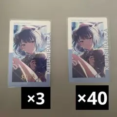 桐谷遥 エピカ WL 21B まとめ売り