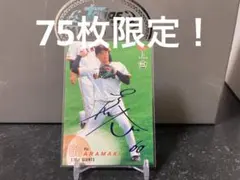 Item thumbnail for item 3ca1101e-864c-42fd-bc9c-d68b320e73d7