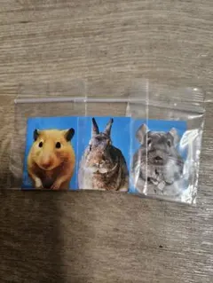 Item thumbnail for item 45b6490c-0056-495b-8c9c-c3c17c1353a1