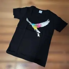 最終価格！Mr.Children 未完 Tシャツ 2015のサムネイル