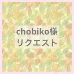 chobiko様 リクエスト 2点 まとめ商品