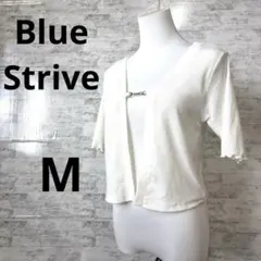 Item thumbnail for item 25431cfb-fe65-4f1d-86a5-dc9764b43f13