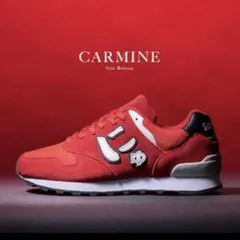 2025年最新】サンガッチョ 23.5の人気アイテム - メルカリ