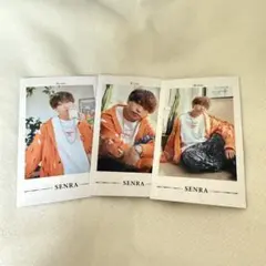 2025年最新】浦島坂田船チェキの人気アイテム - メルカリ