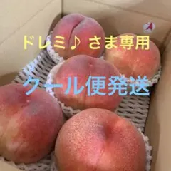 山梨一宮の桃 レイホウ 4個詰め 産地直送 お好きな方にめっちゃ甘くて