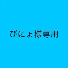 こちら専用ページになります。 ご本人様のみご購入可能です