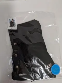 Item thumbnail for item 1658a99d-cbe8-4f47-b209-a51f8a225b9b