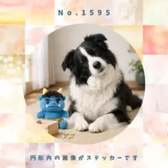 Item thumbnail for item b731fc69-cb71-452d-849e-ba99d056bf1a