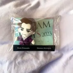 渡辺翔太 DREAMBOYS ぬいぐるみ