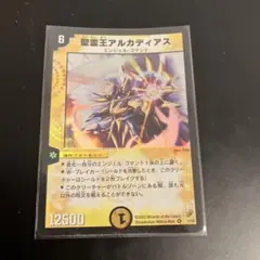 2025年最新】アルカディアスの人気アイテム - メルカリ