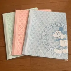 ミッキー・ミニー ファイル 3枚セット