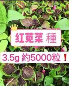 miho様 リクエスト 5点 まとめ商品