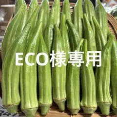 7/26 ECO様専用のサムネイル