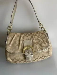 コーチ　ワンショルダーバッグ キャンバス シグネチャー　F17093