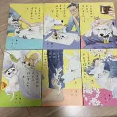 うちの犬が子ネコ拾いました。
