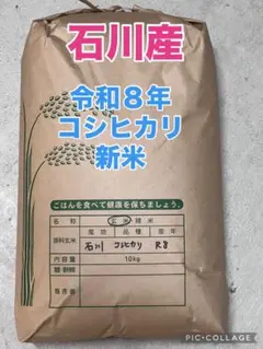 石川県産 コシヒカリ 10kg 令和7年9月収穫 - メルカリ