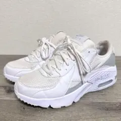 NIKE エアマックスエクシー CD5432-121 スニーカー 22.5cm