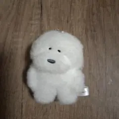 N's work... ビションフリーゼ