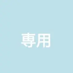 専用ページ